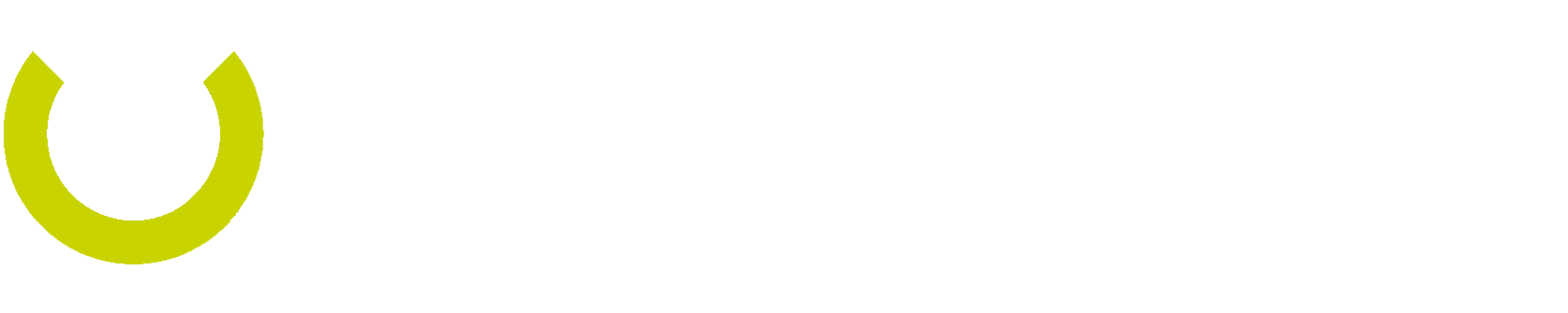 repmaster – repariert meisterhaft.